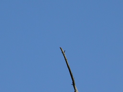 b0088444_192298.jpg