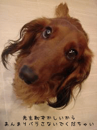 c0016745_15341674.gif