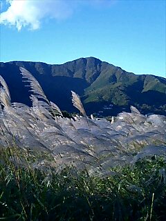 d0067650_1774817.jpg