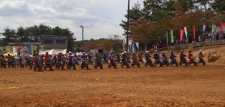 c0035980_1220216.jpg