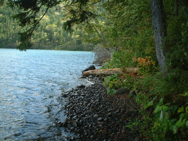 e0005280_23143382.jpg