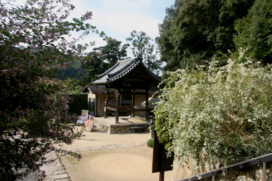 a0045381_19435314.jpg