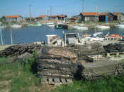 a0014299_22383751.jpg