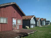 a0014299_2239296.jpg