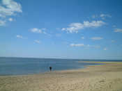 a0014299_22395150.jpg