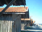 a0014299_2240323.jpg