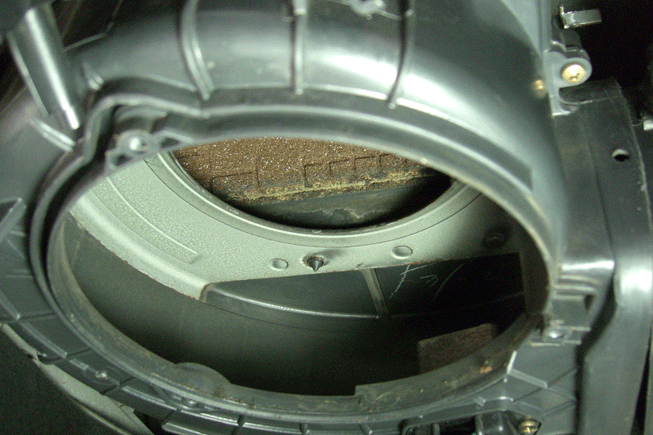 e0063003_19503375.gif