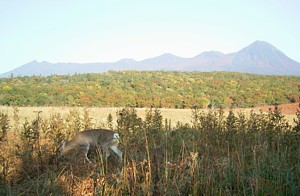 f0032403_10373366.jpg