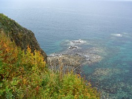 f0032403_10414933.jpg