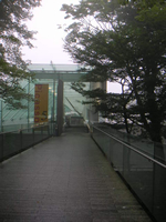 ポーラ美術館「ピカソ 5つのテーマ」_a0056406_1903728.jpg