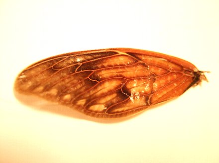 d0051614_6323769.jpg