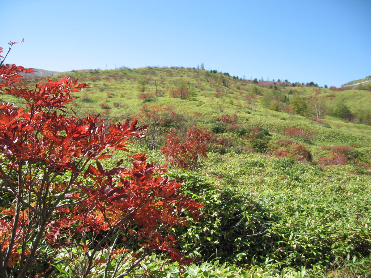 f0016320_160195.jpg