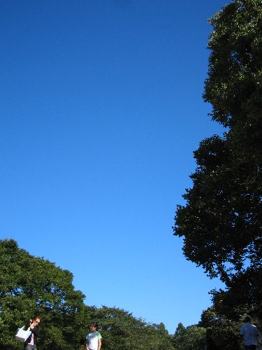 c0091126_135234.jpg