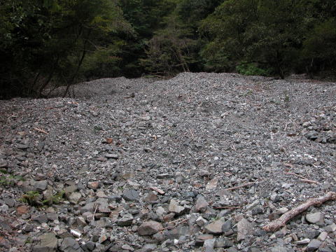 d0045626_23324580.jpg