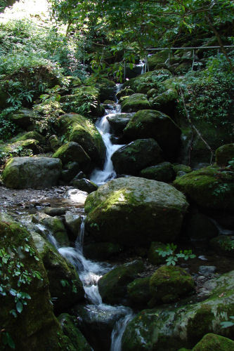 f0007926_10494283.jpg