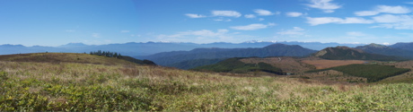 八ヶ岳クラフトフェア 2_b0100229_20482512.jpg
