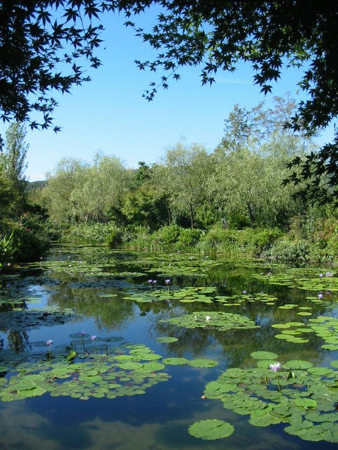 f0105732_10291042.jpg