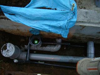 f0005334_1747614.jpg