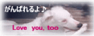 f0013255_5482697.gif