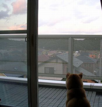 2006年10月11日(水)・・・愛ちゃんの長い一日_f0060461_19174814.jpg