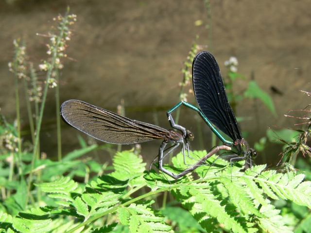 d0094165_2091052.jpg