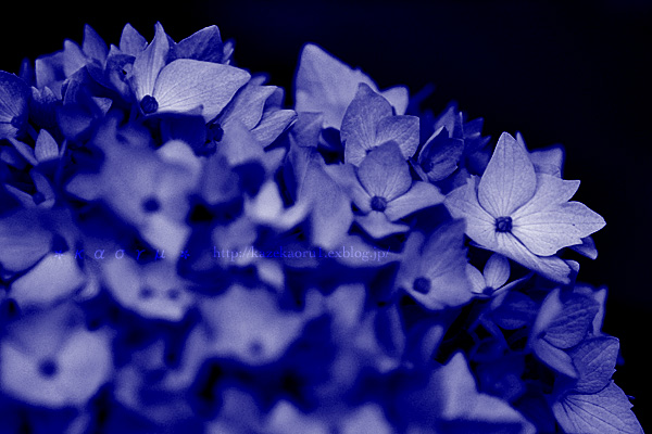 c0036880_162513.jpg