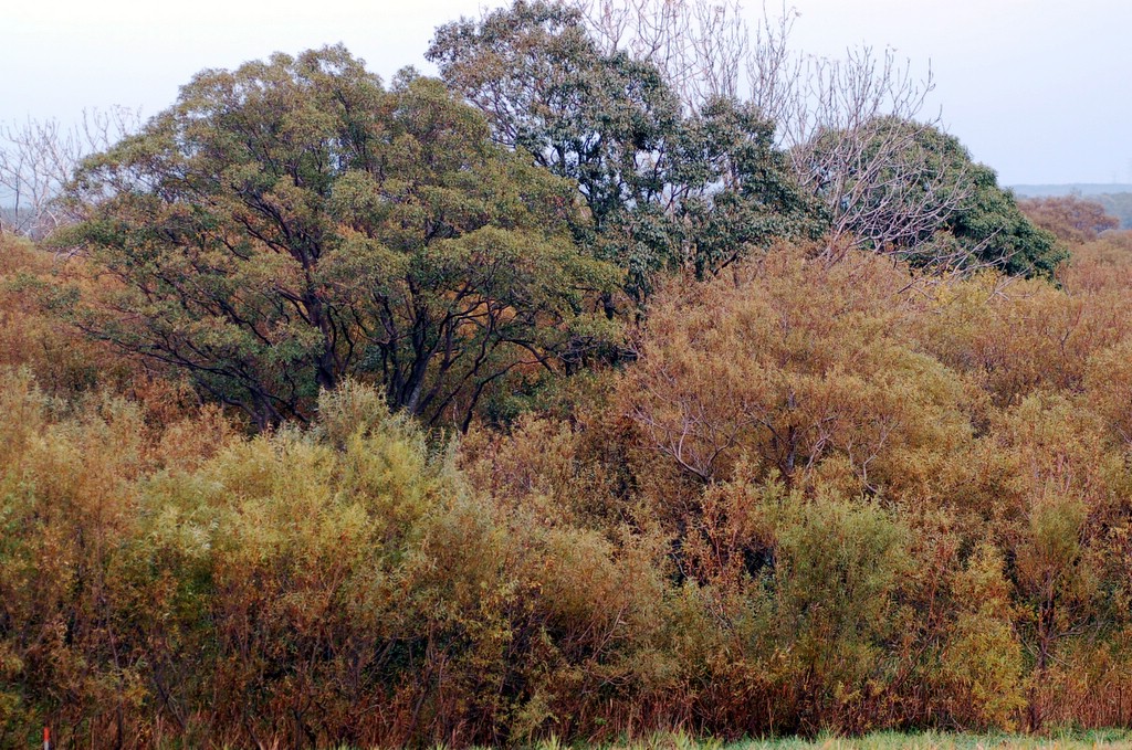 a0062697_22191417.jpg