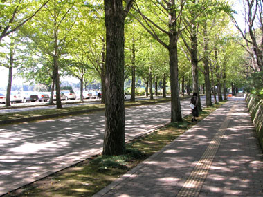 c0044599_0481024.jpg