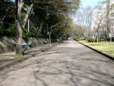 c0044599_0492266.jpg