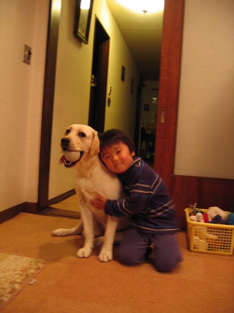 d0091700_11352438.jpg
