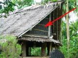 ヤップ伝統建築の素材 & そうだったのね、パトリオット(PAC3)_a0043520_11244972.jpg