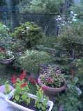 c0038722_028552.jpg