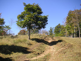 a0068424_10323588.jpg