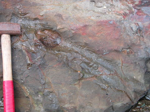 d0045626_20474751.jpg