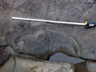 d0045626_21449.jpg