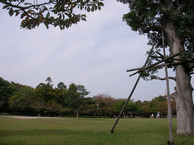 お散歩_c0077531_22381852.jpg