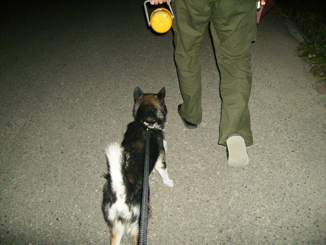 f0058241_176316.jpg