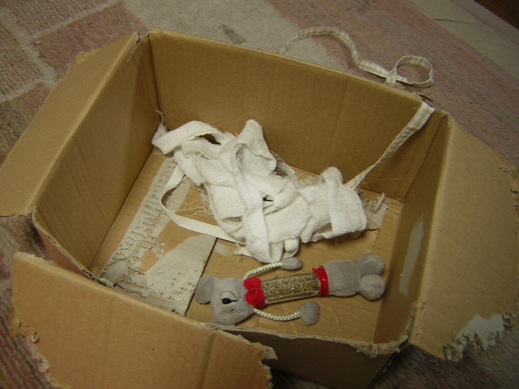 d0074945_19565511.jpg