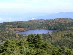 白駒池の紅葉、鮮やか!_f0019247_2311351.jpg