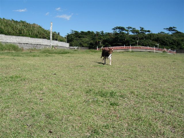 クドイようですが、、、_b0051654_04059.jpg