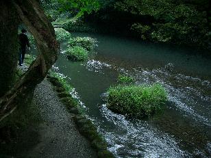 石川県へ行ってきました①　【山中温泉】_d0005461_1701195.jpg