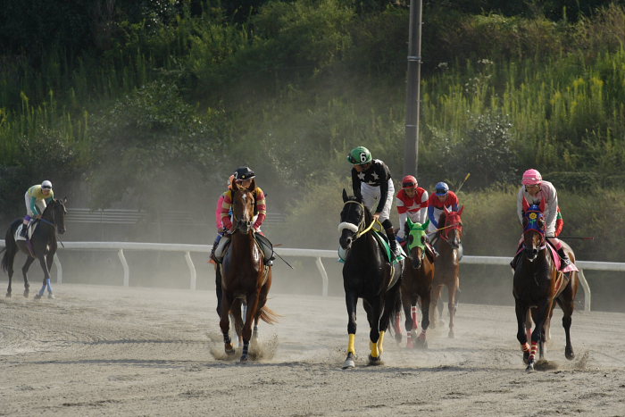 2006年9月30日（土） 高知競馬_a0077663_18404829.jpg
