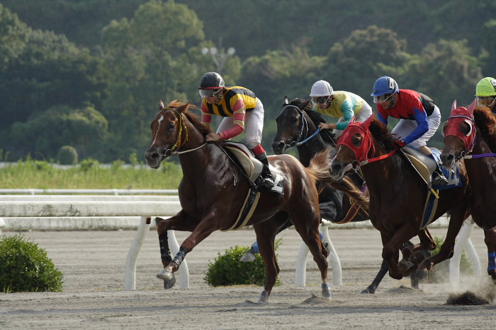 2006年9月30日(土) 高知競馬_a0077663_18505675.jpg