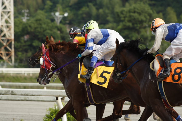 2006年9月30日(土) 高知競馬_a0077663_18533069.jpg