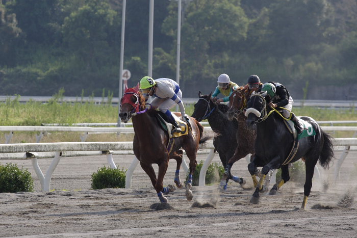 2006年9月30日(土) 高知競馬_a0077663_18551227.jpg