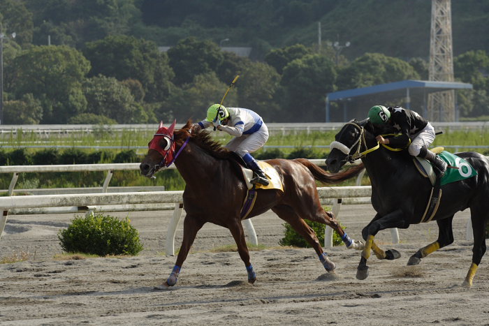 2006年9月30日(土) 高知競馬_a0077663_18571348.jpg