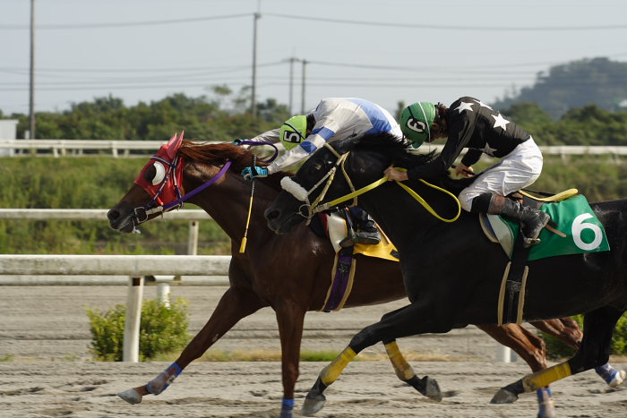 2006年9月30日(土) 高知競馬_a0077663_18585784.jpg