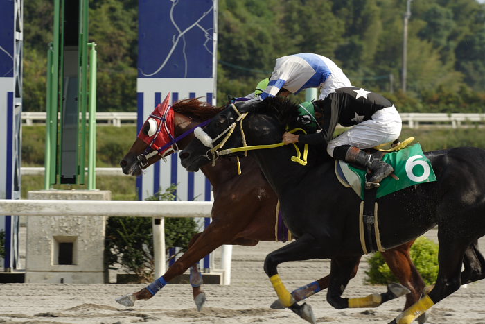 2006年9月30日(土) 高知競馬_a0077663_1933662.jpg