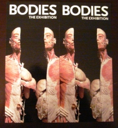 2006-10-11　BODIES@South Street Seaport Exhibition Ctr_e0021965_12384496.jpg