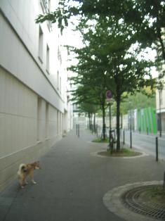 e0066571_5544615.jpg